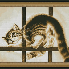 Схема вышивки «кот в окне»
