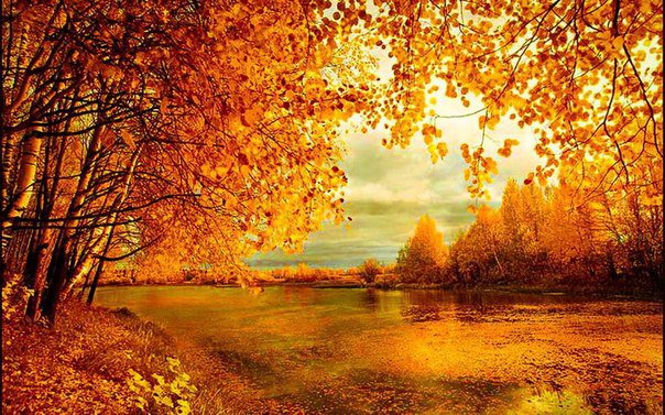 Осень на реке - осень, днревья, листья - оригинал