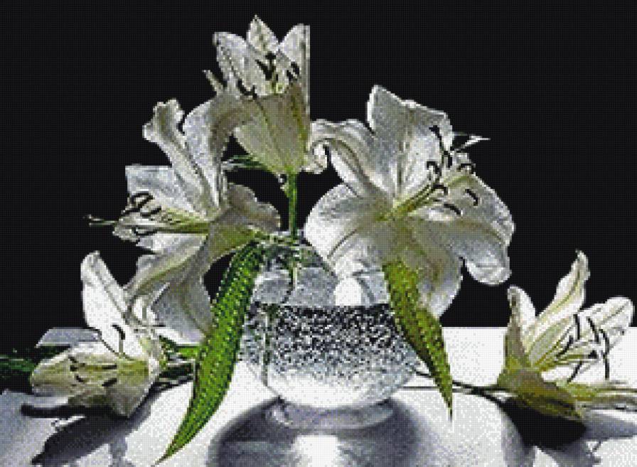 белые лилии - цветы - предпросмотр