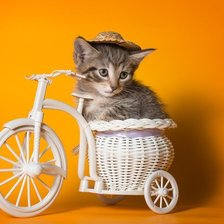 Схема вышивки «Котенок на велосипеде»