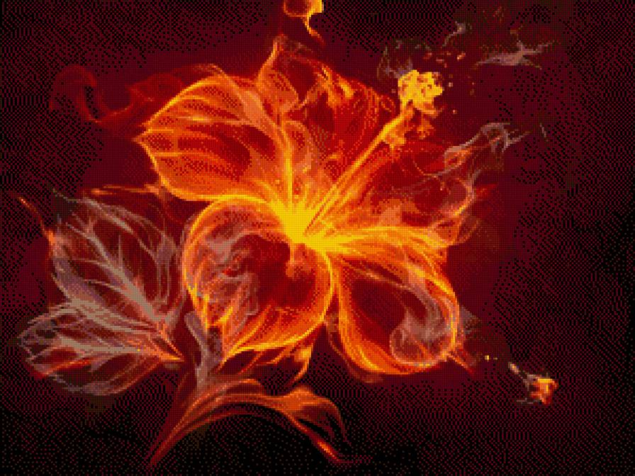 Огненный цветок - цветок, огонь - предпросмотр