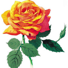 Оригинал схемы вышивки «Серия "Цветы": Розы-2» (№669031)