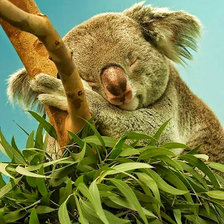 Схема вышивки «Спящий коала.»
