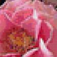 Предпросмотр схемы вышивки «Цветы в корзине» (№677371)