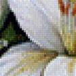 Предпросмотр схемы вышивки «лилии» (№679939)