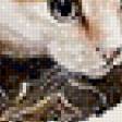 Предпросмотр схемы вышивки «Котенок с цыплятами» (№680247)