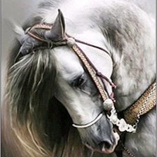 Схема вышивки «Конь»