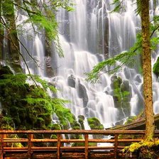 лесной водопад