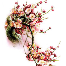 Оригинал схемы вышивки «ветка цветущей сакуры» (№689660)
