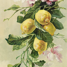 Схема вышивки «ветка с лимонами»
