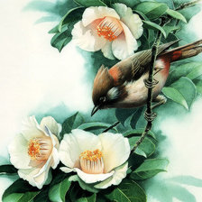 Оригинал схемы вышивки «птица на цветке» (№694609)