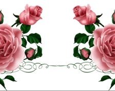Оригинал схемы вышивки «розы» (№697287)
