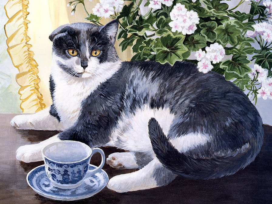 кошачий портрет - коты, котики, портрет, кот - оригинал