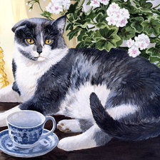 Оригинал схемы вышивки «кошачий портрет» (№700182)