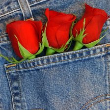 Схема вышивки «Розы в джинсе»