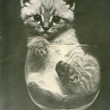 Оригинал схемы вышивки «"Советский котенок"» (№701575)
