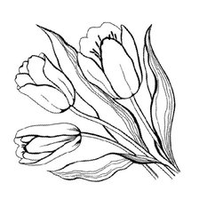 Оригинал схемы вышивки «тюльпаны» (№703149)
