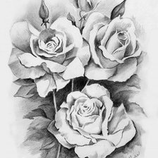 Оригинал схемы вышивки «розы (монохром)» (№703161)