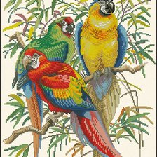 Схема вышивки «три попугайчика»