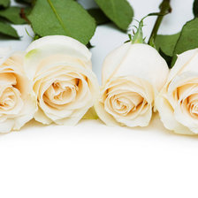 Оригинал схемы вышивки «Белые розы» (№705420)