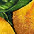 Предпросмотр схемы вышивки «Лимоны» (№708542)
