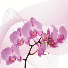 Оригинал схемы вышивки «триптих орхидея (левая часть)» (№710882)
