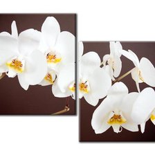Схема вышивки «Диптих орхидея»