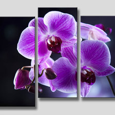 Оригинал схемы вышивки «Орхидея триптих» (№713605)