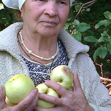 Схема вышивки «мама с яблоками»