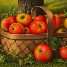 Оригинал схемы вышивки «Яблочки» (№714712)
