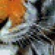 Предпросмотр схемы вышивки «тигр» (№716999)