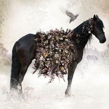 Оригинал схемы вышивки «лошадь» (№724572)