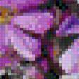Предпросмотр схемы вышивки «Цветы (по картине Л.Скрипченко)» (№725037)