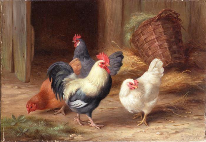 Курятник - птицы, картины, петух, курица - оригинал