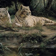 Схема вышивки «белые тигры»