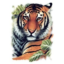 Оригинал схемы вышивки «тигр» (№727481)