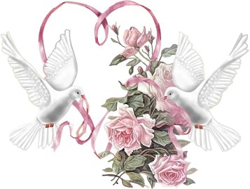 голуби - рушнык, розы. любовь, свадьба, голуби - оригинал