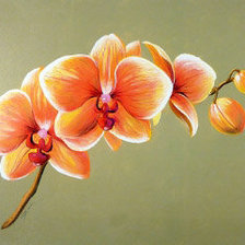 Схема вышивки «Орхидея оранжевая»