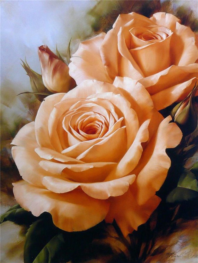 №736051 - роза, цветок - оригинал