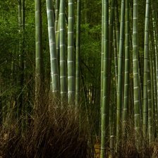 Схема вышивки «бамбуковая перспектива (слева)»