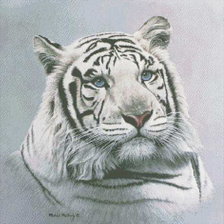 Оригинал схемы вышивки «Белый тигр» (№739065)