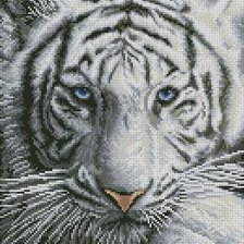 Схема вышивки «Белый тигр 1»