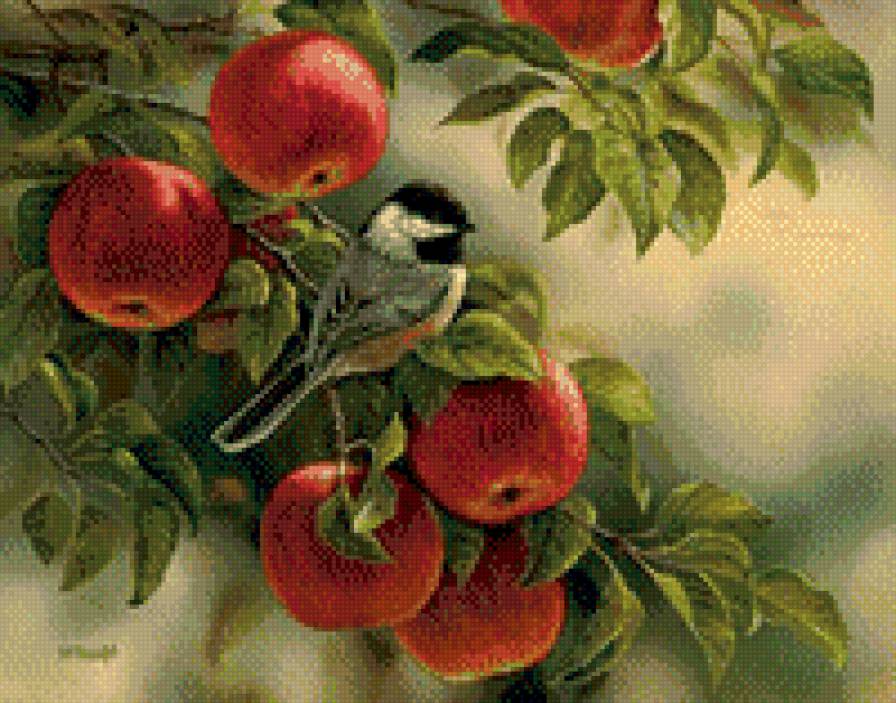 Птицы - яблоки, природа, птицы, деревья - предпросмотр