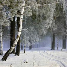 Схема вышивки «Зимний лес»