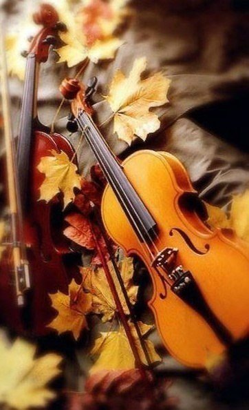 №744085 - осень, листья, скрипка, музыка - оригинал