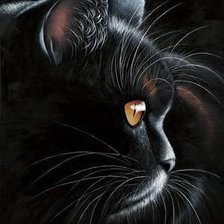 Схема вышивки «чёрная кошка»