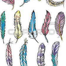 Оригинал схемы вышивки «feather» (№747099)
