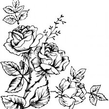 Схема вышивки «Подушка Розы черно-белая»