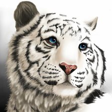 Оригинал схемы вышивки «белый тигр» (№752231)