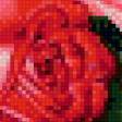 Предпросмотр схемы вышивки «Розовые розы» (№755797)